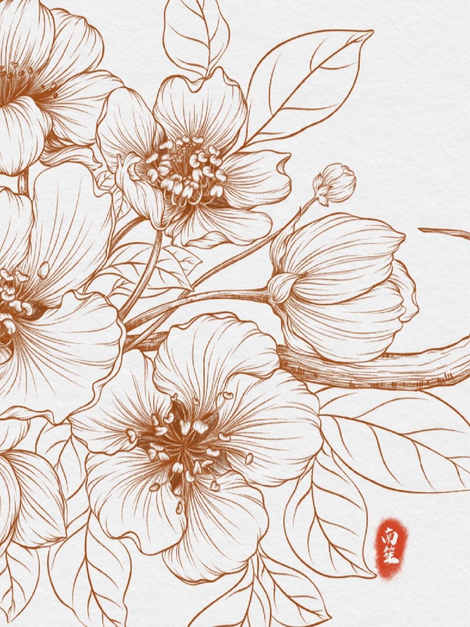 花卉速写『原创』梨花 梨花一直是我心中白月光,一直有执念,一直不敢