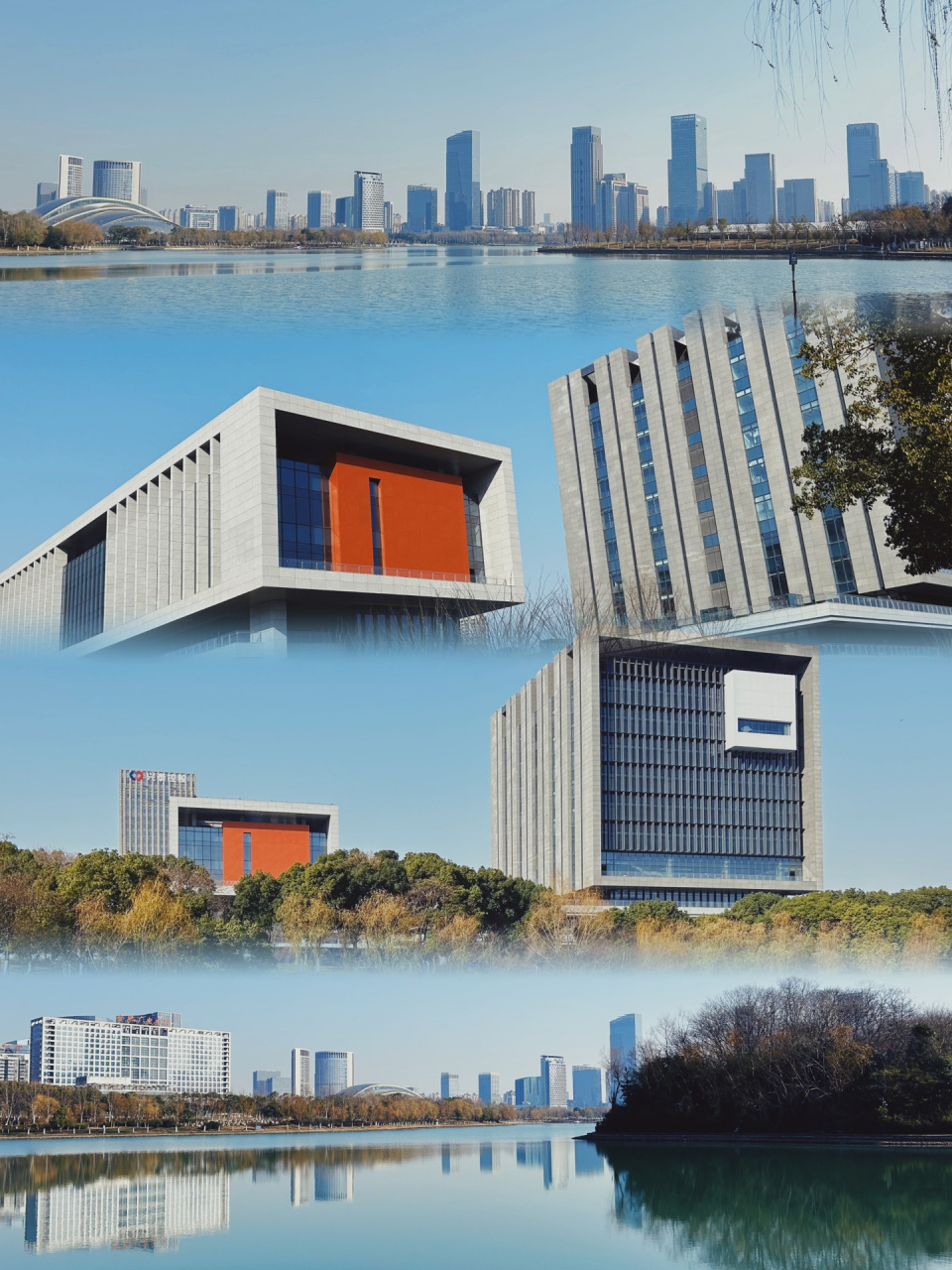 合肥市中心图书馆 阳光正好 来天鹅湖散步 还是那么美 合肥市中心图书