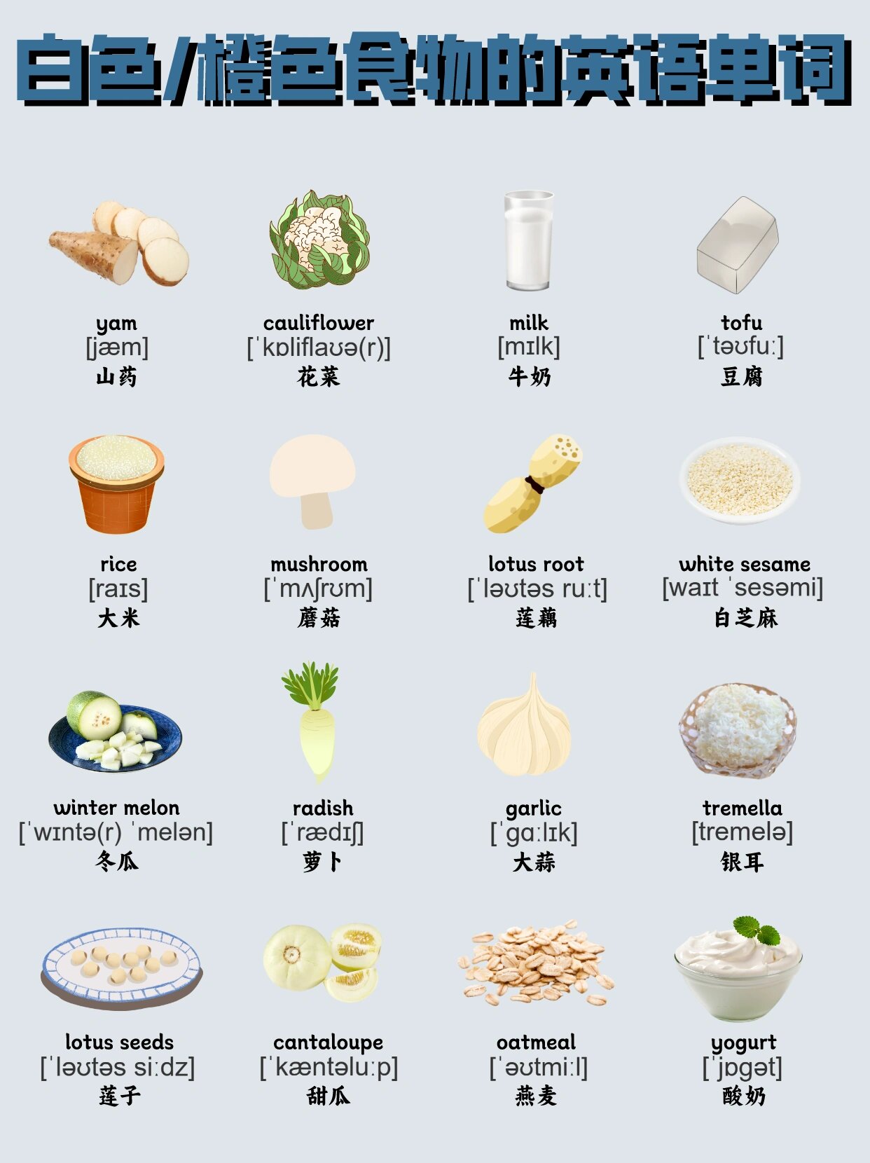 食物类英语单词图片