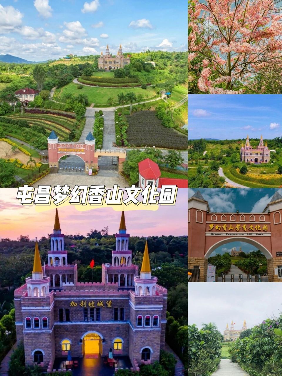 海南旅游丨 踏秋好去处——屯昌梦幻香山 97屯昌梦幻香山芳香文化园