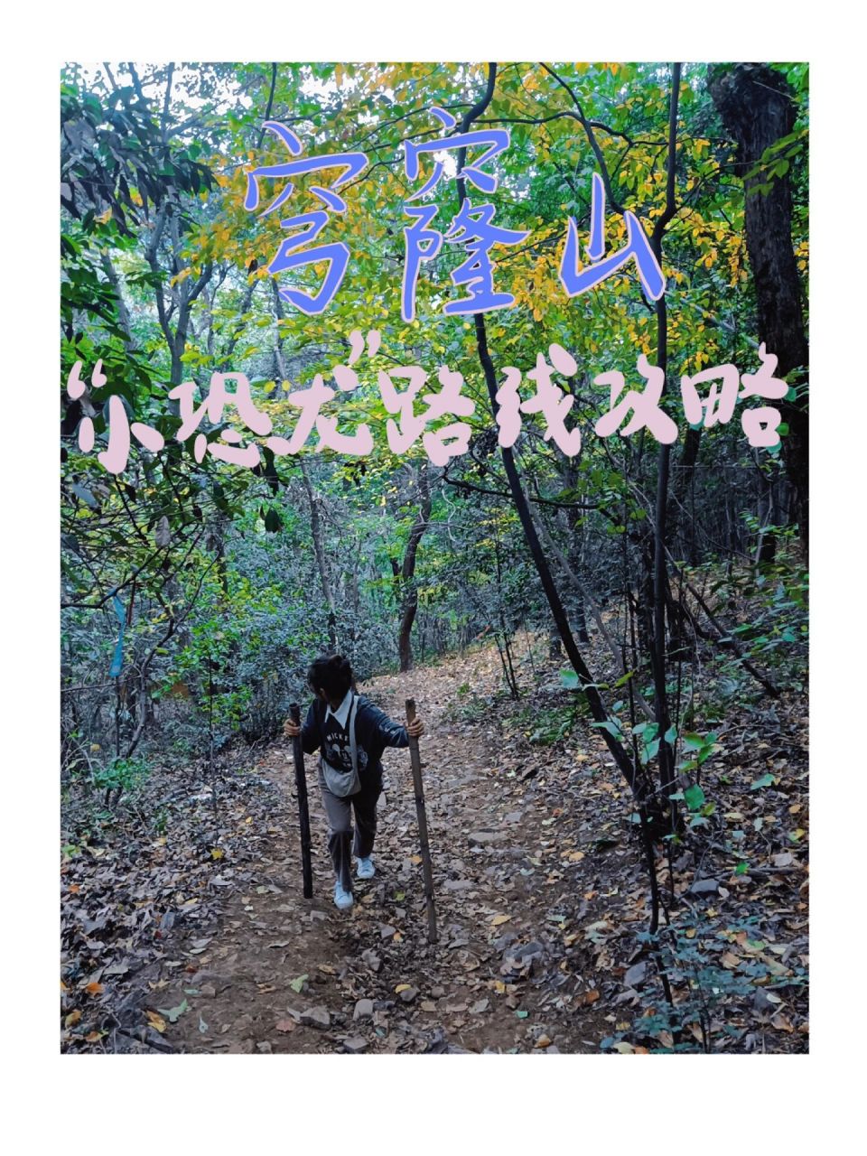 苏州爬山|0门票的穹窿山"小恐龙"路线17 0169♀15有了上次爬