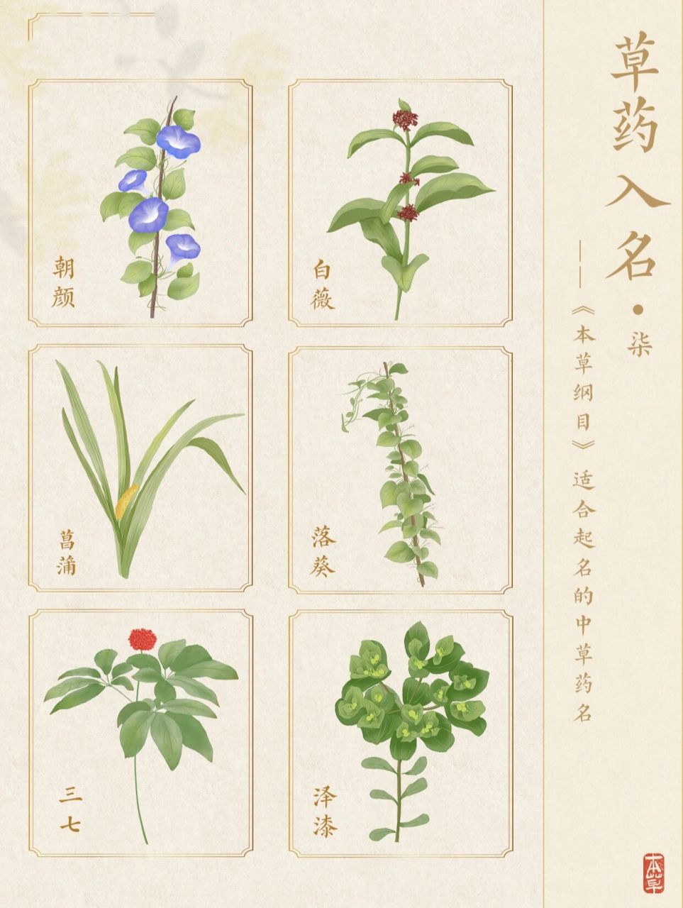 诗意满满的草药名字 《本草纲目》共记载草药1892种
