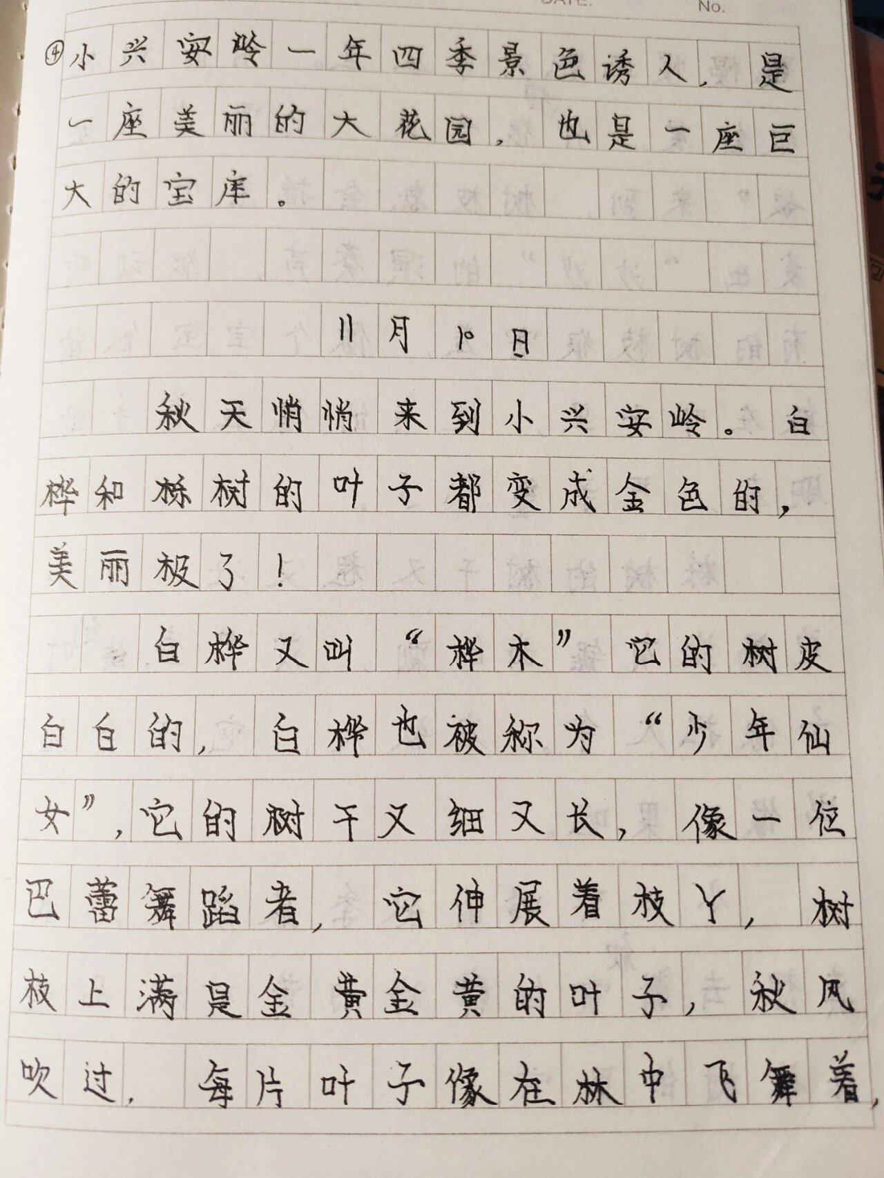 三年级上 第20课小练笔