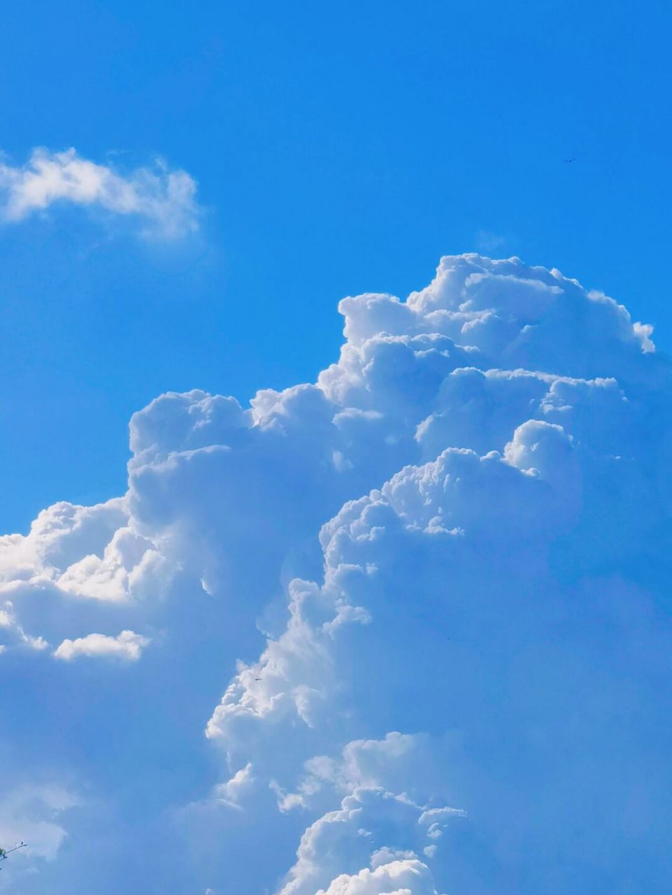海浪声,不止是夏天的呐喊 夏天的厦门,很唯美 算我最近旅行的最大惊喜