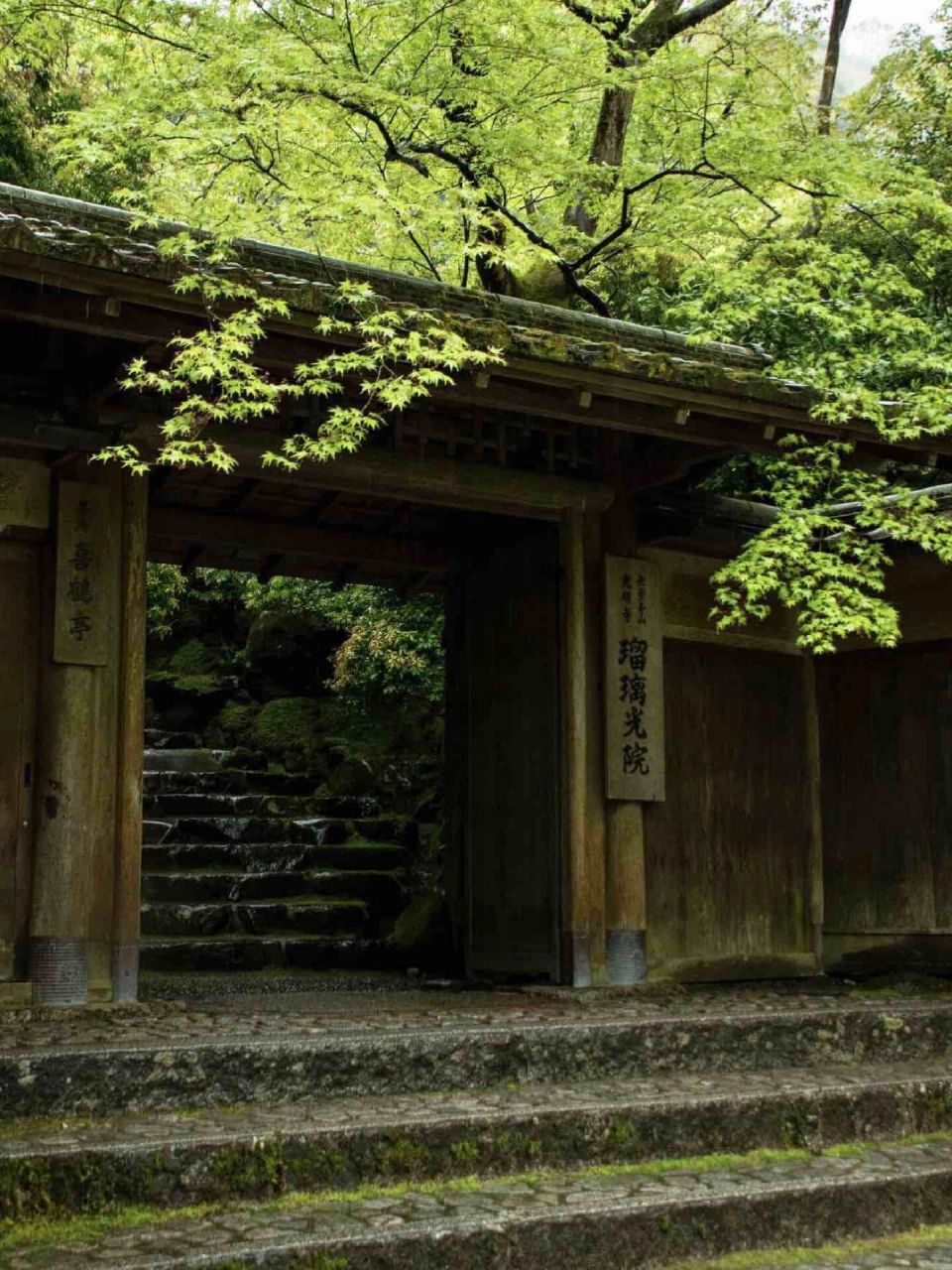 京都琉璃光院95|一年仅开26615次的寺庙 一年仅开放26615次