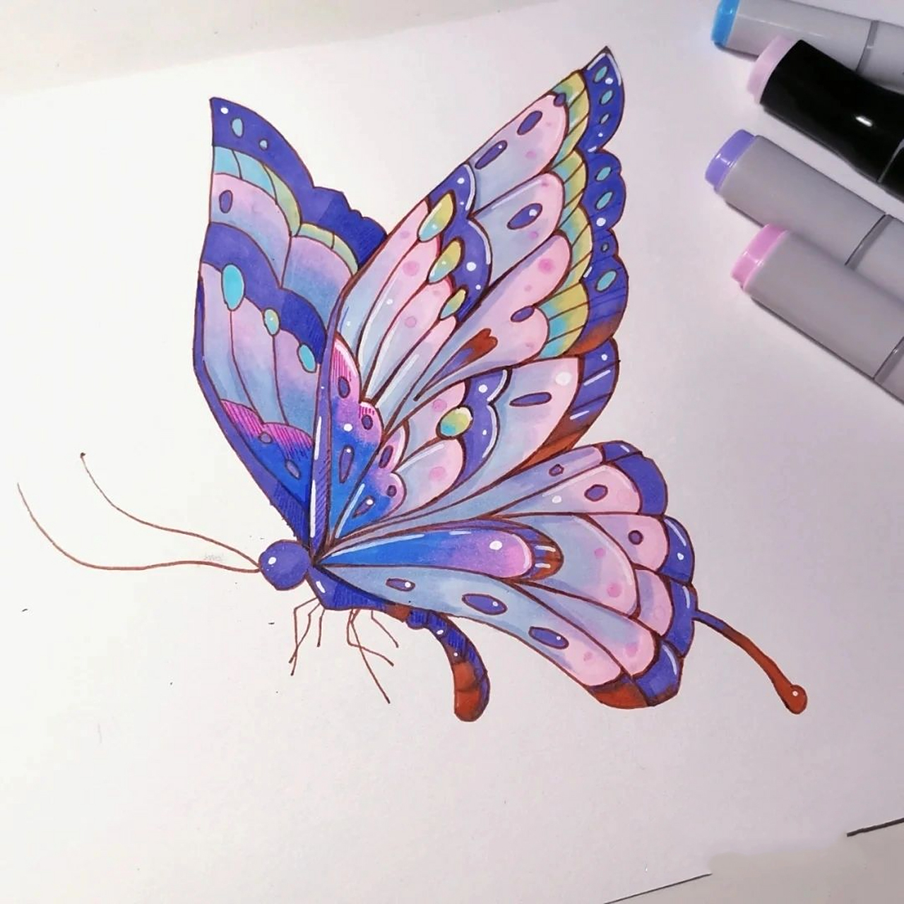 马克笔绘画|万能蝴蝶03素材 整理了一些03素材 【临摹,原图在p678