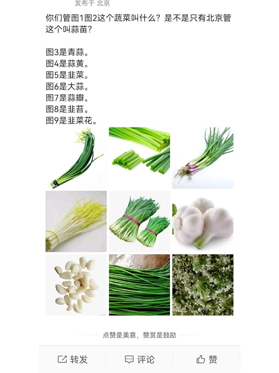 到底叫蒜苗?还是蒜苔?青蒜?