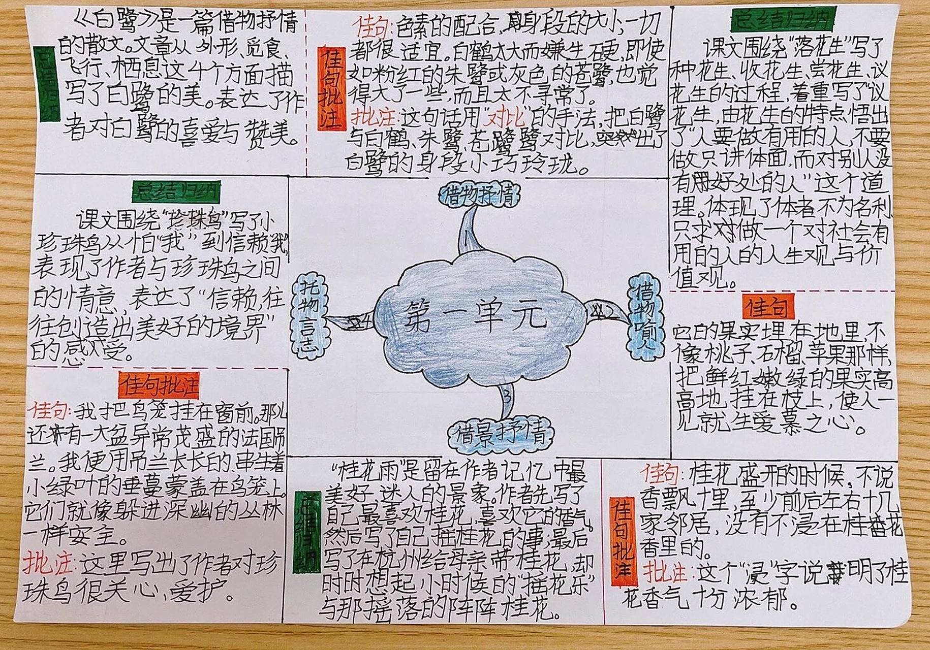 五年级上册第一单元知识点总结思维导图