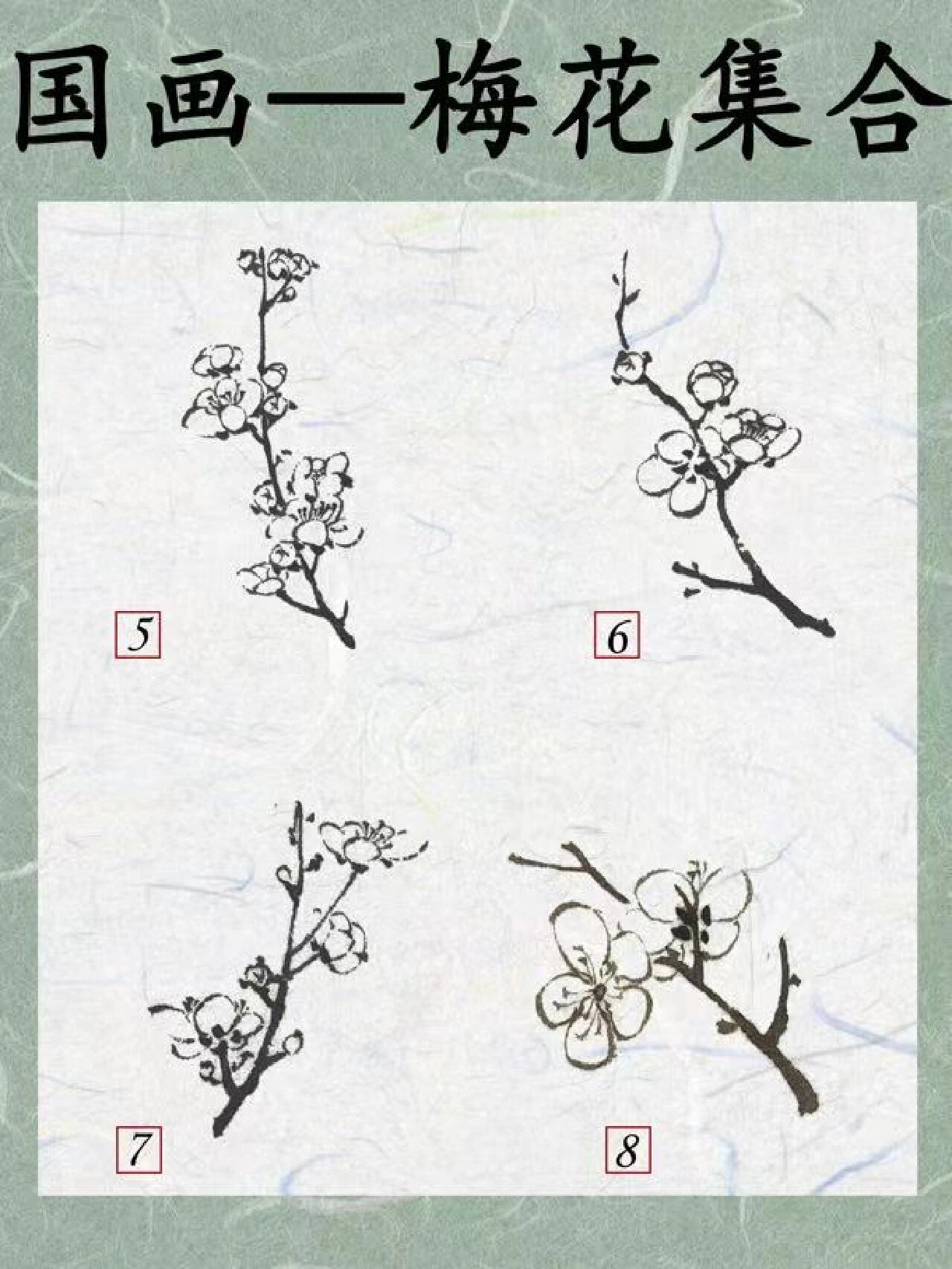国画/梅花不同姿态初学者详细教程