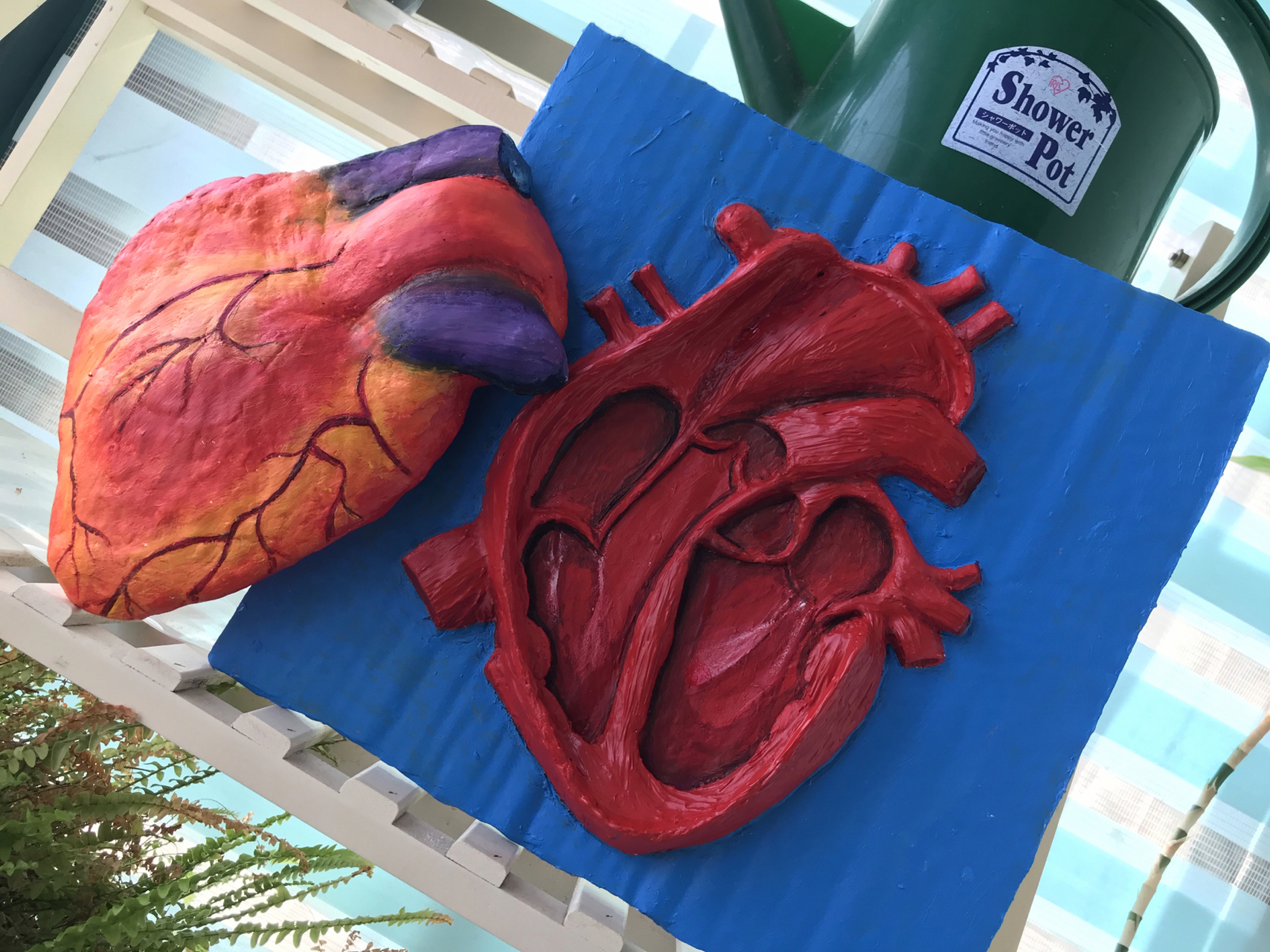 心脏模型制作过程图片图片