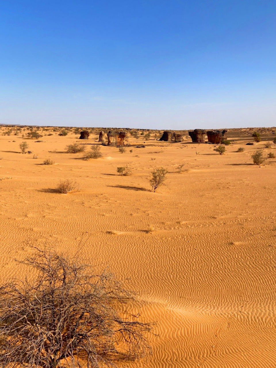 毛里塔尼亚境内的撒哈拉沙漠风光 毛里塔尼亚位于非洲西北部,地处北纬