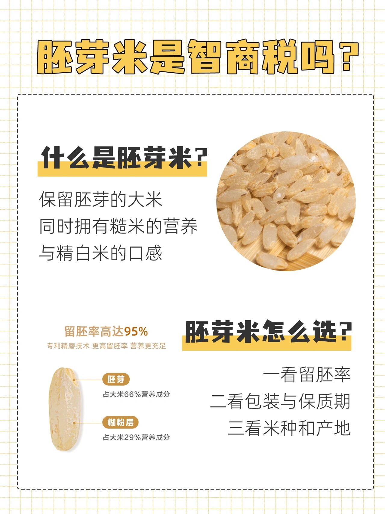 胚芽米是智商税吗?一文看懂与普通大米区别