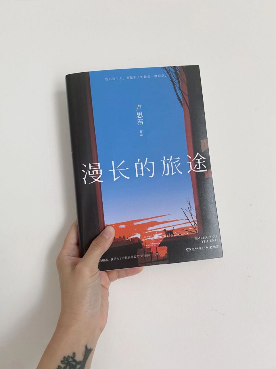 《漫长的旅途》|日子得接着过,我们要接着活 这世界每一份相遇都很