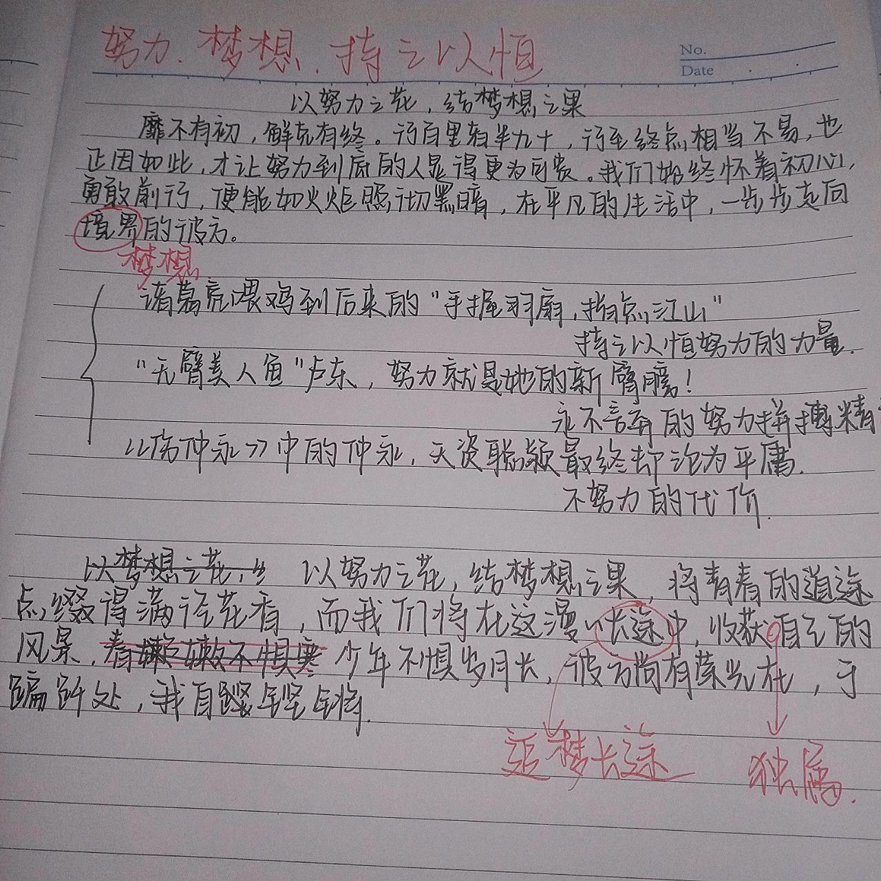 中考满分作文提纲图片