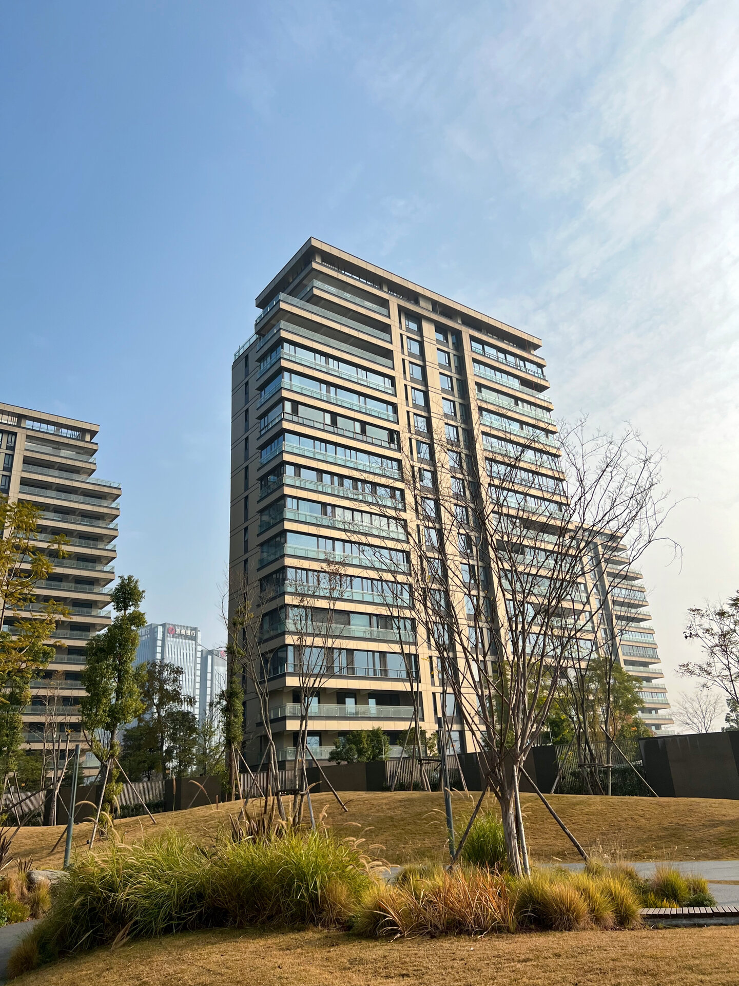 但是在网上查不多太多的消息,也许这就是蜀瑞苑的神奇之处,金融城三期