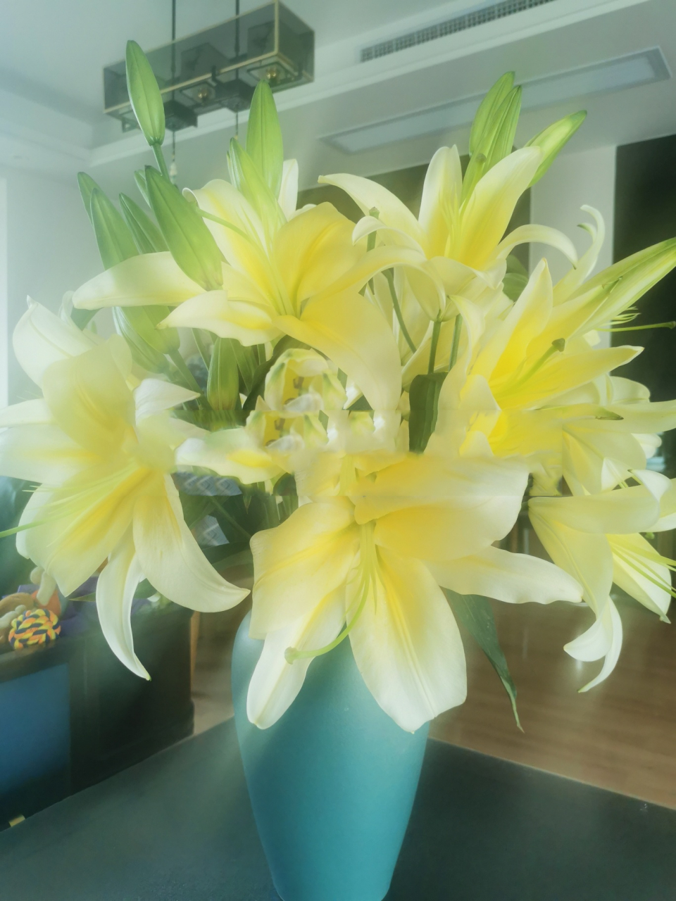 a级多头黄金甲百合 a级多头黄金甲,开花直径远超30cm,杆子粗,花苞又大