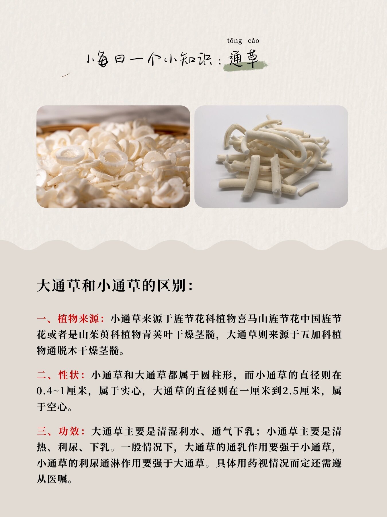 大通草的图片及作用图片