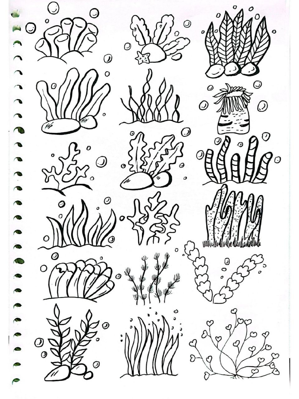海底植物简笔画画法图片