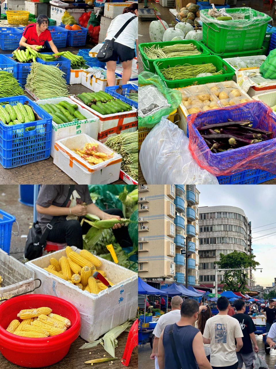 东莞99细村市场那不为人知的另一面6015 细村市场