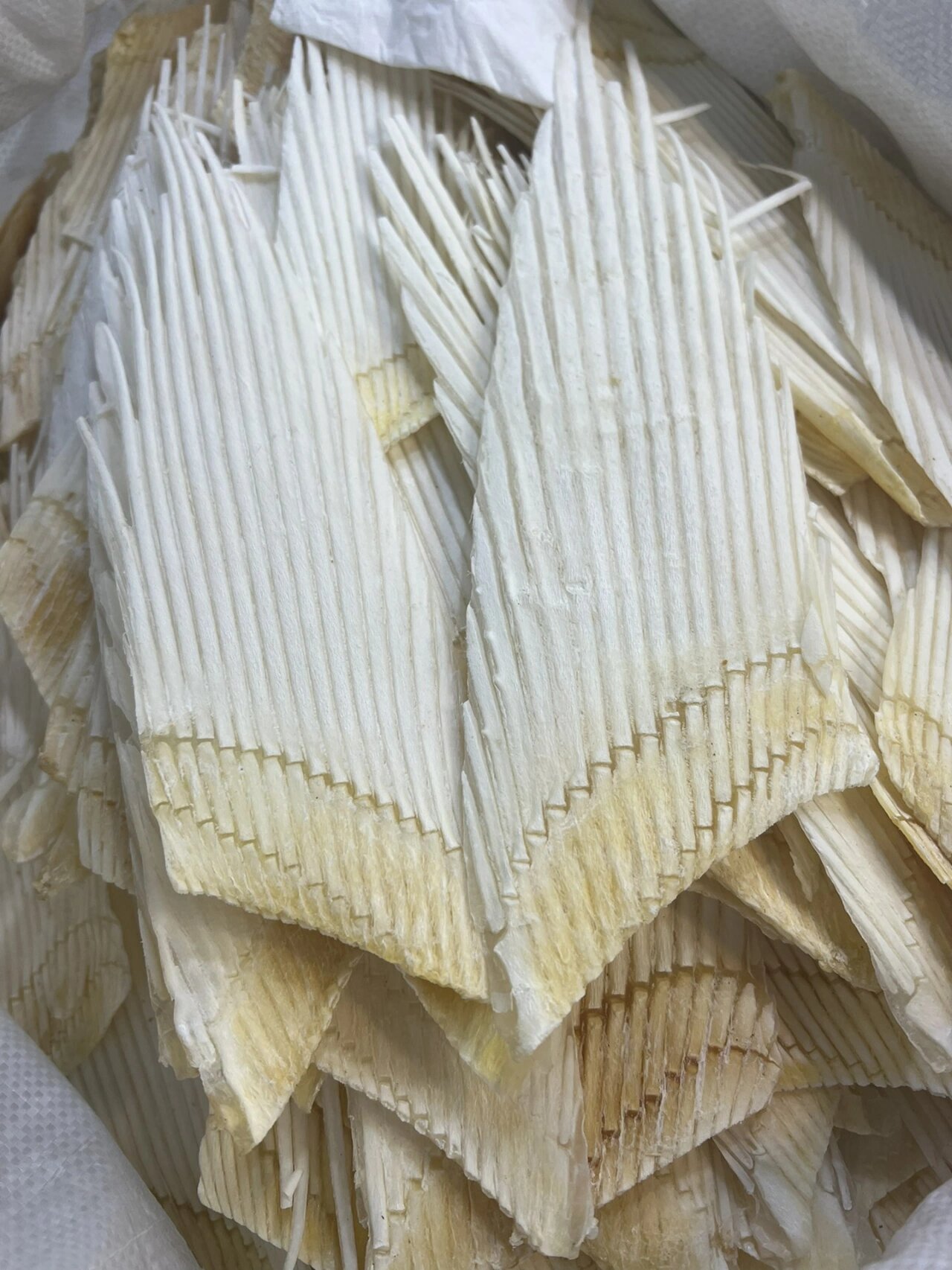 特大鲨鱼翅骨  鱼翅骨 足干88一斤 10斤起批 煲汤特别的鲜.