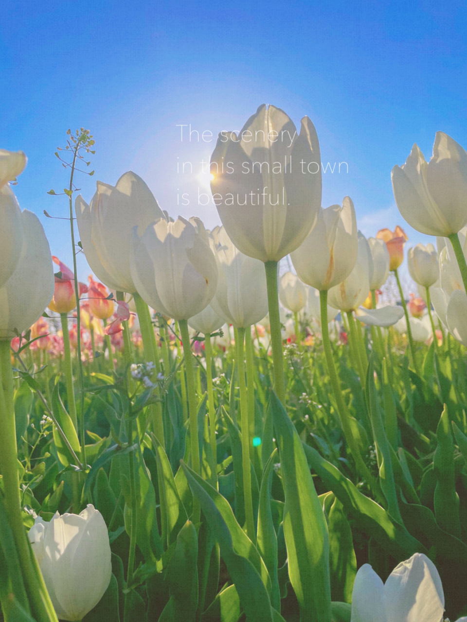 摄于2021年5月2日 下午一点多从市区出发,开了两个多小时才到英歌石