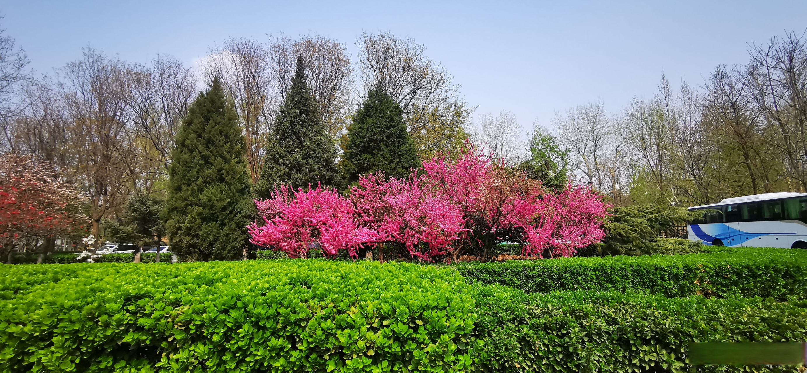 奥林匹克森林公园#北京的春天真美.#北京的春# 微博北京