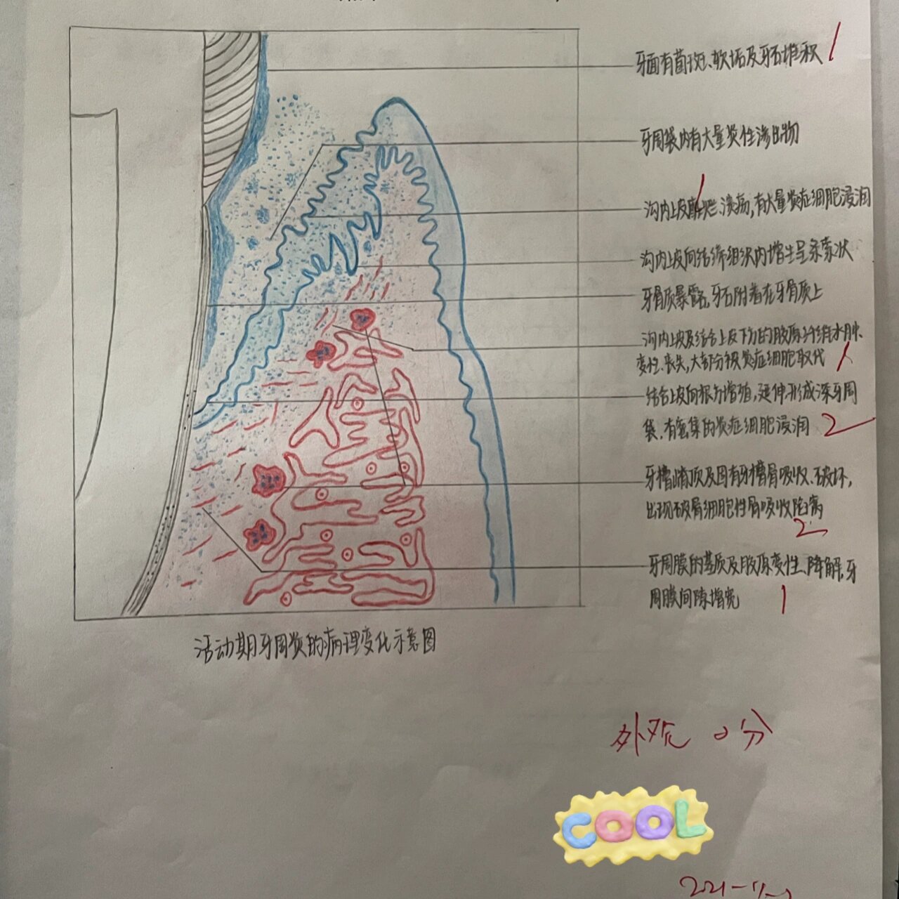 钟状期成釉器红蓝绘图图片