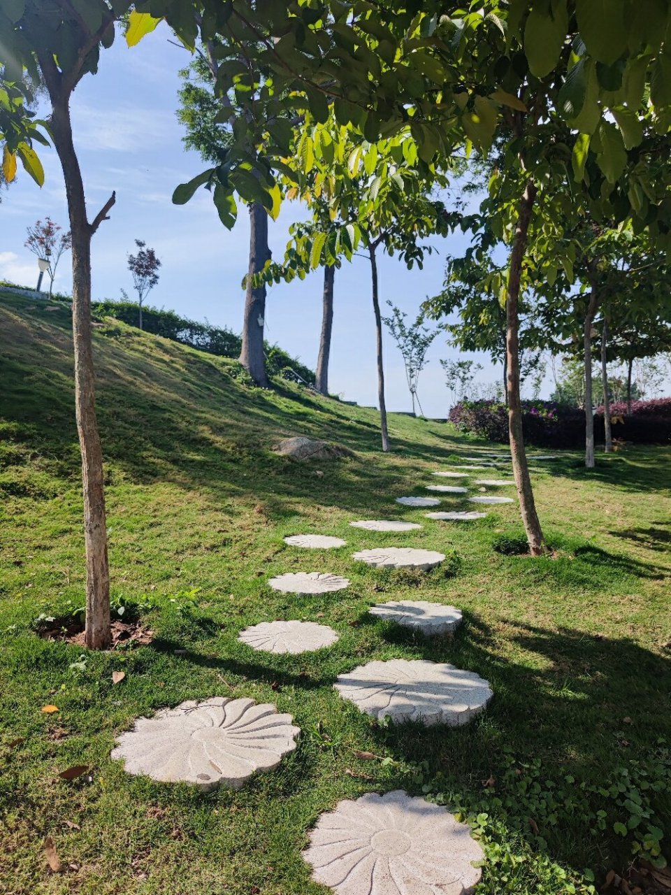 澄海岛门凤鸣园9292 澄海岛门凤鸣园 导航 岛门凤鸣园山庄92 可