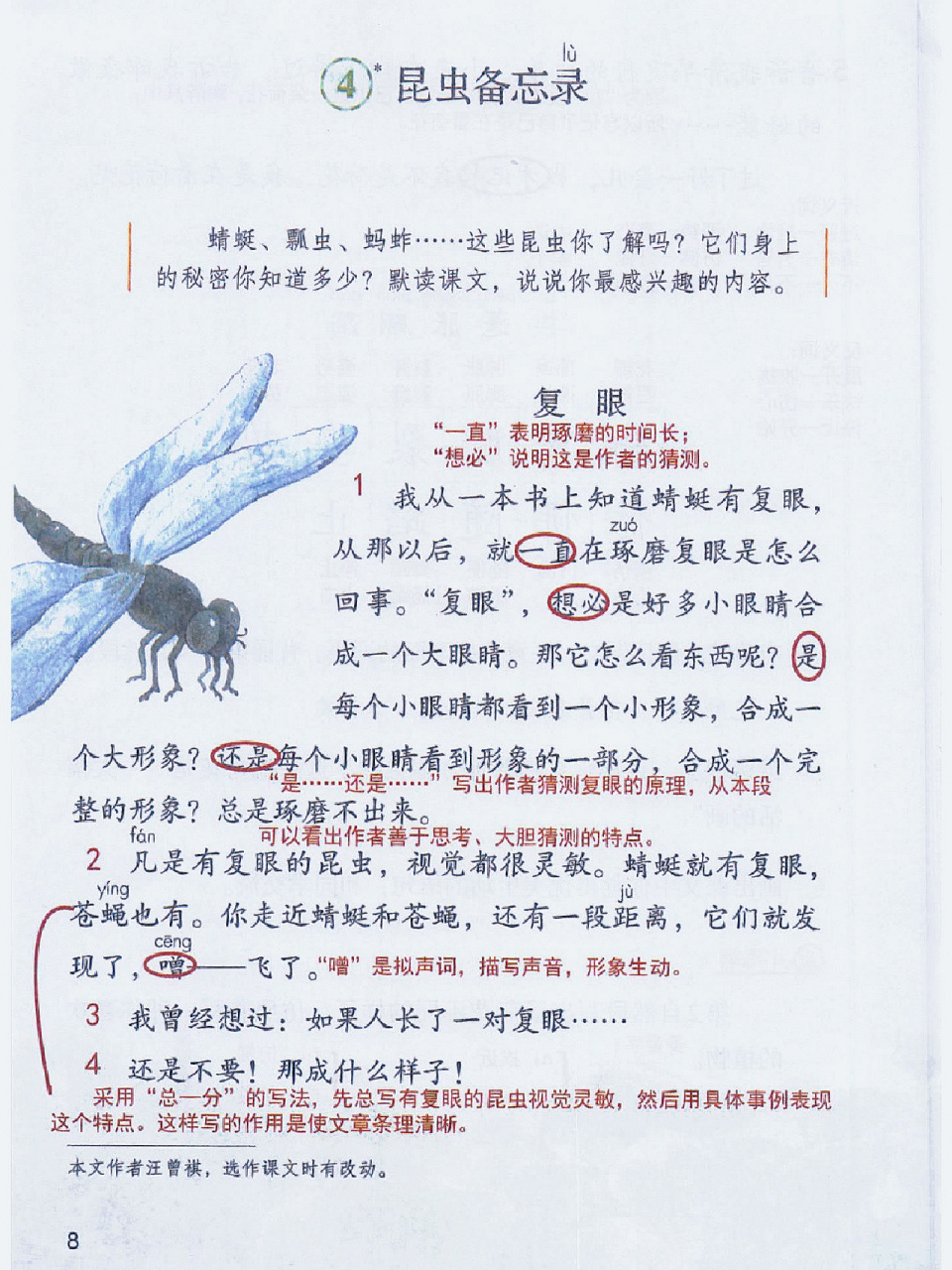 课堂笔记95|三年级下册|4 昆虫备忘录08