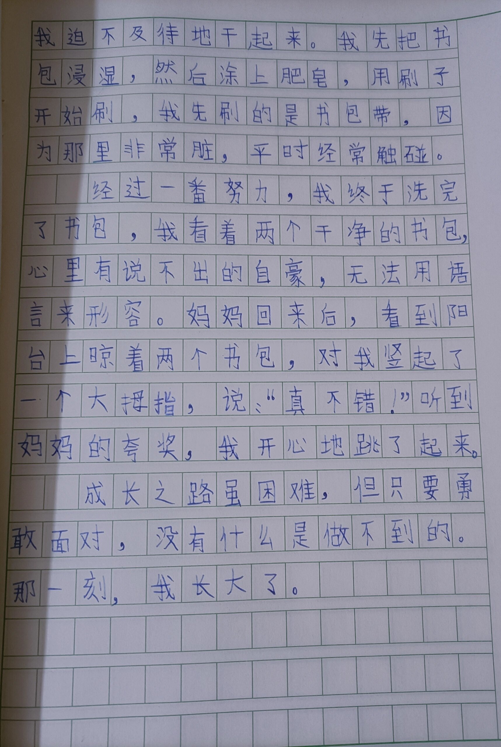 那一刻,我长大了(500字左右)作文