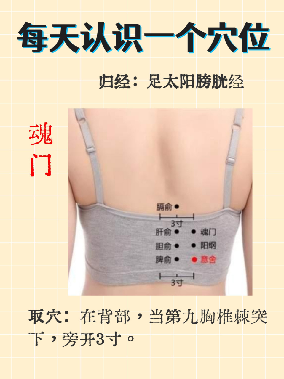 每天认识一个穴位-魂门
