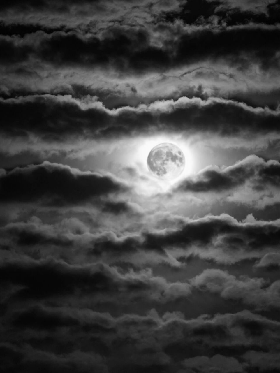 月露风云图片