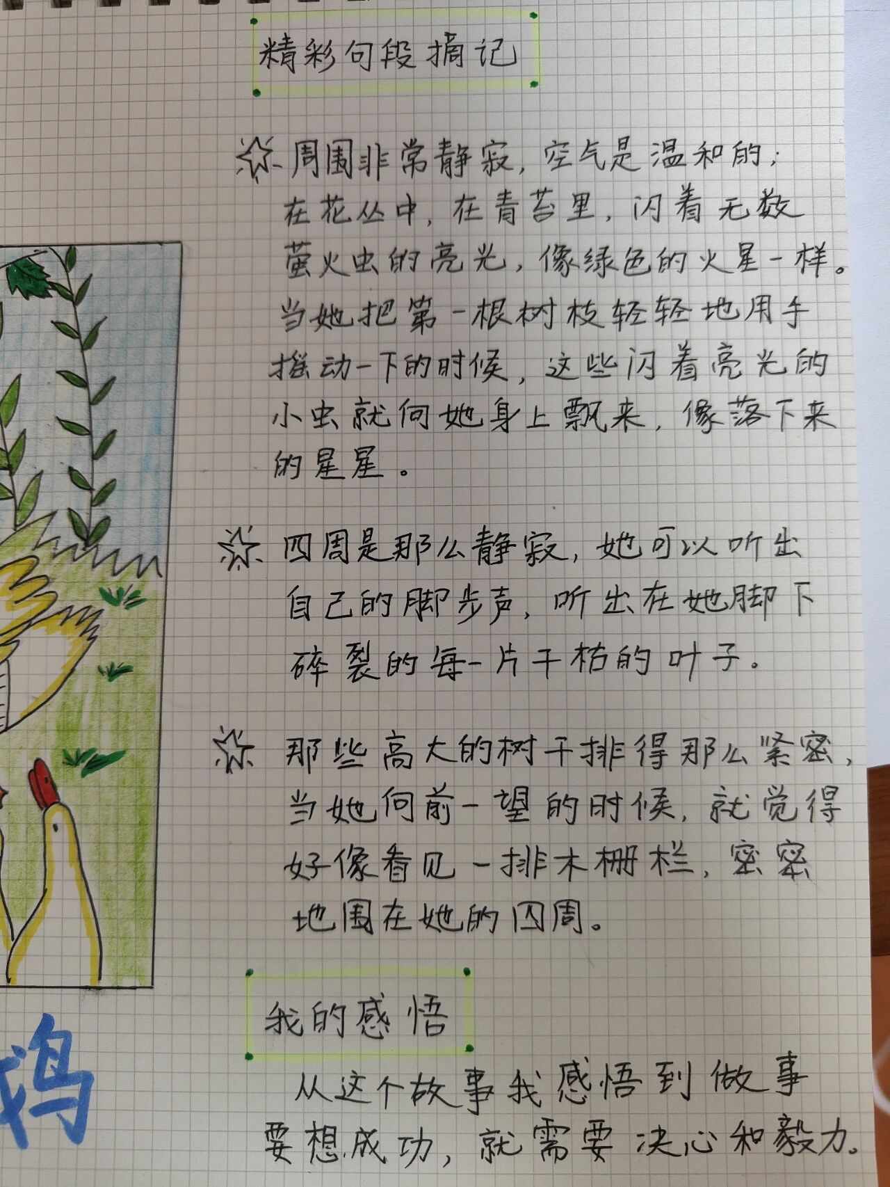 《野天鹅》读书笔记思维导图