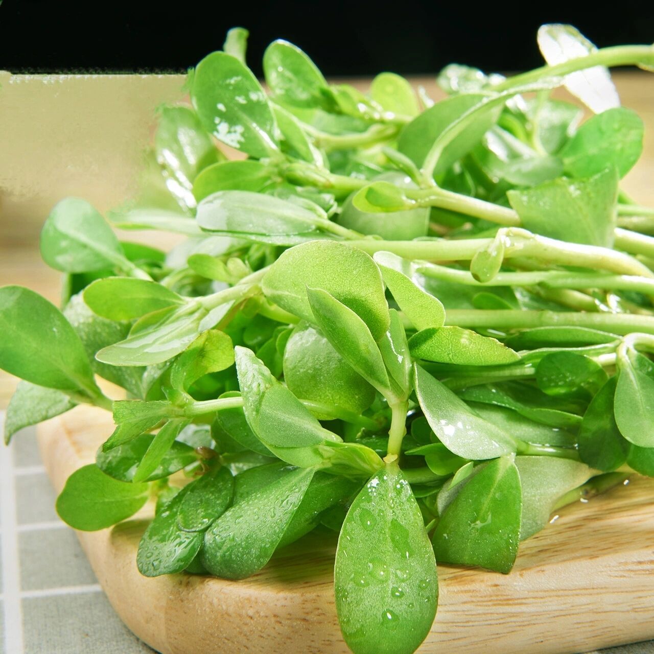 药食同源——马齿苋  今天再来介绍一种在农村老家特别常见的野菜