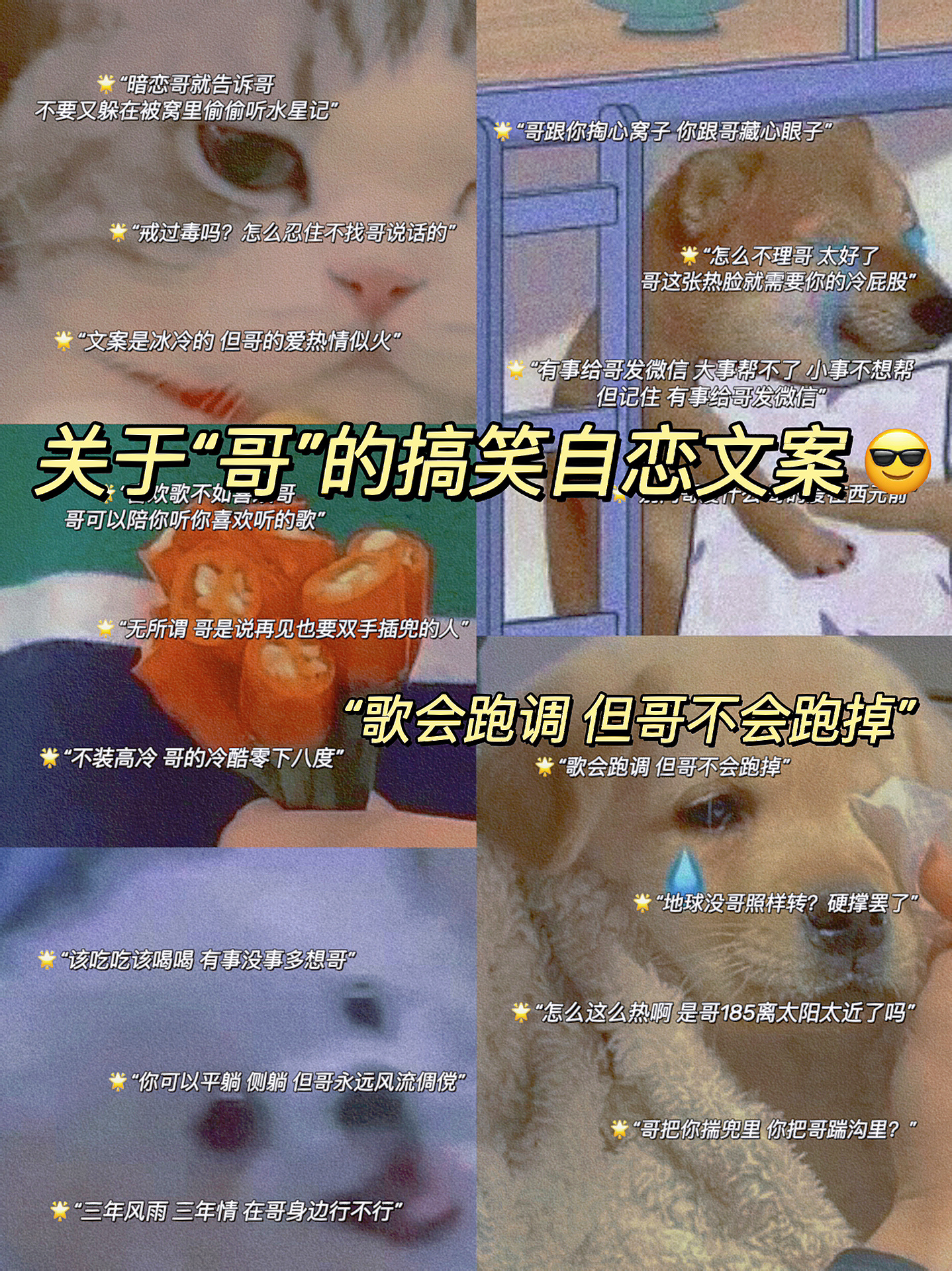 关于"哥"的搞笑自恋文案90哥的冷酷零下八度