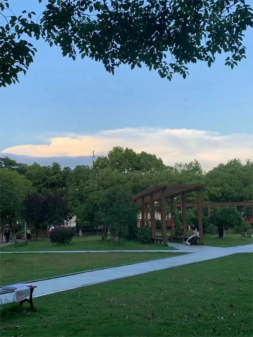 武汉传媒学院# #武传一角# 静静地守住生命里的那一份淡然,那一份本