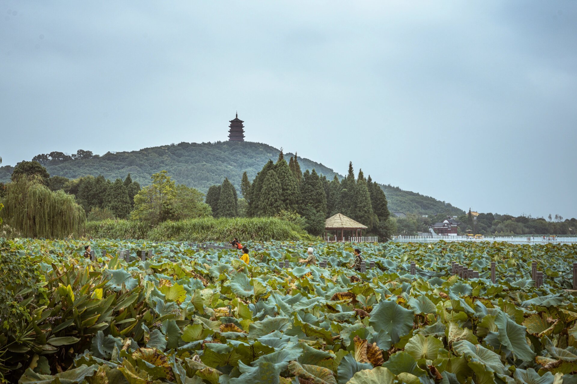 吉安庐陵生态公园 天气不错,冷暖适宜 适合户外 就是照片拍出来有点灰