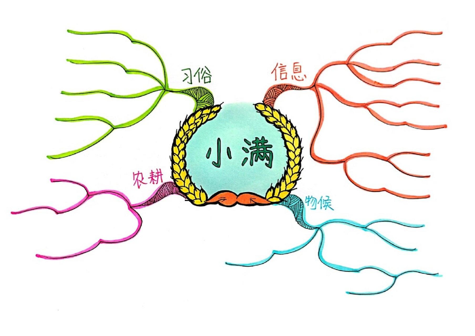 带上思维导图迎二十四节气之"小满" 97小满是二十四节气的第八个