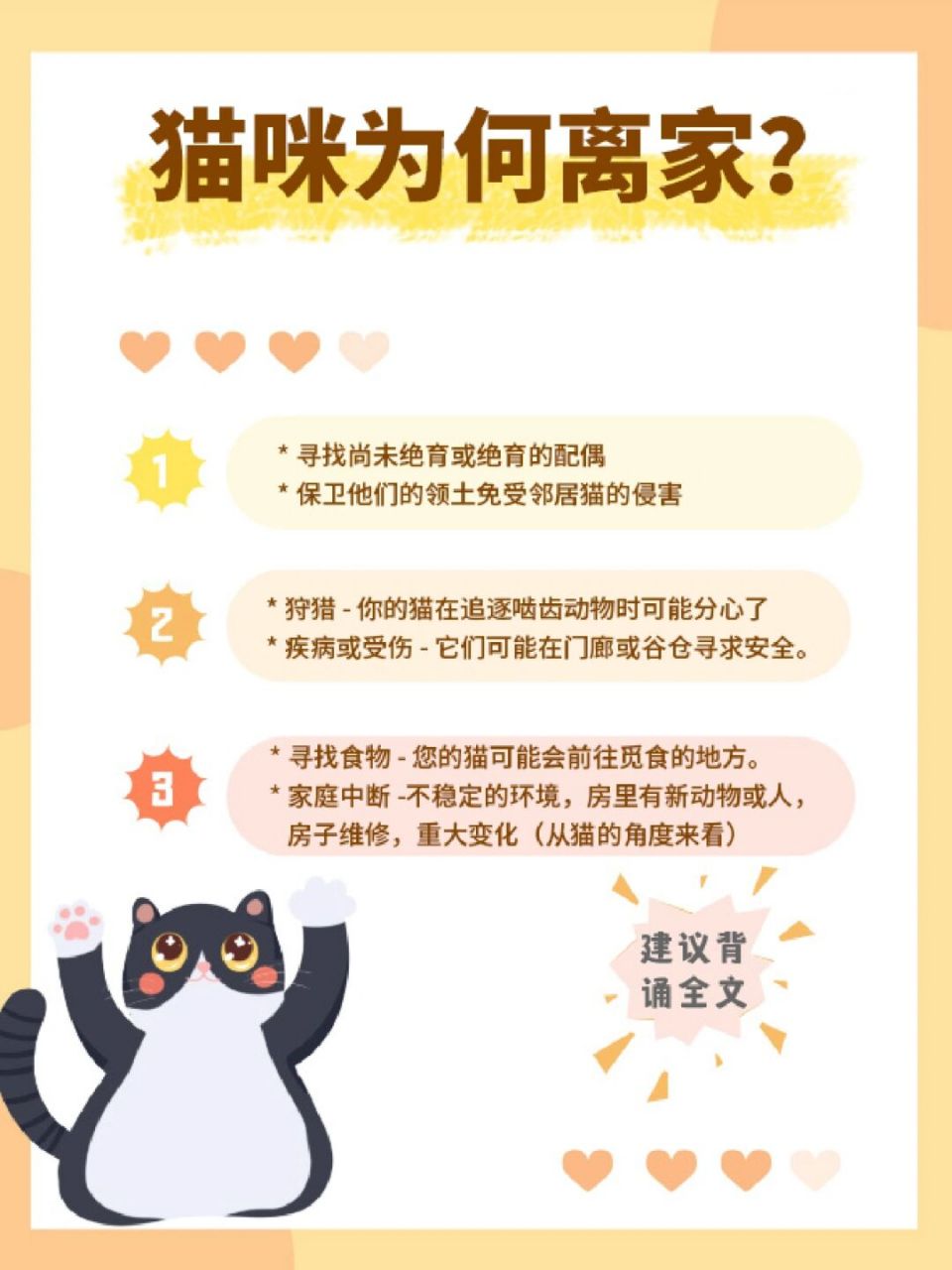 猫咪会找到回家的路吗�猫真的能找到回家的路吗?