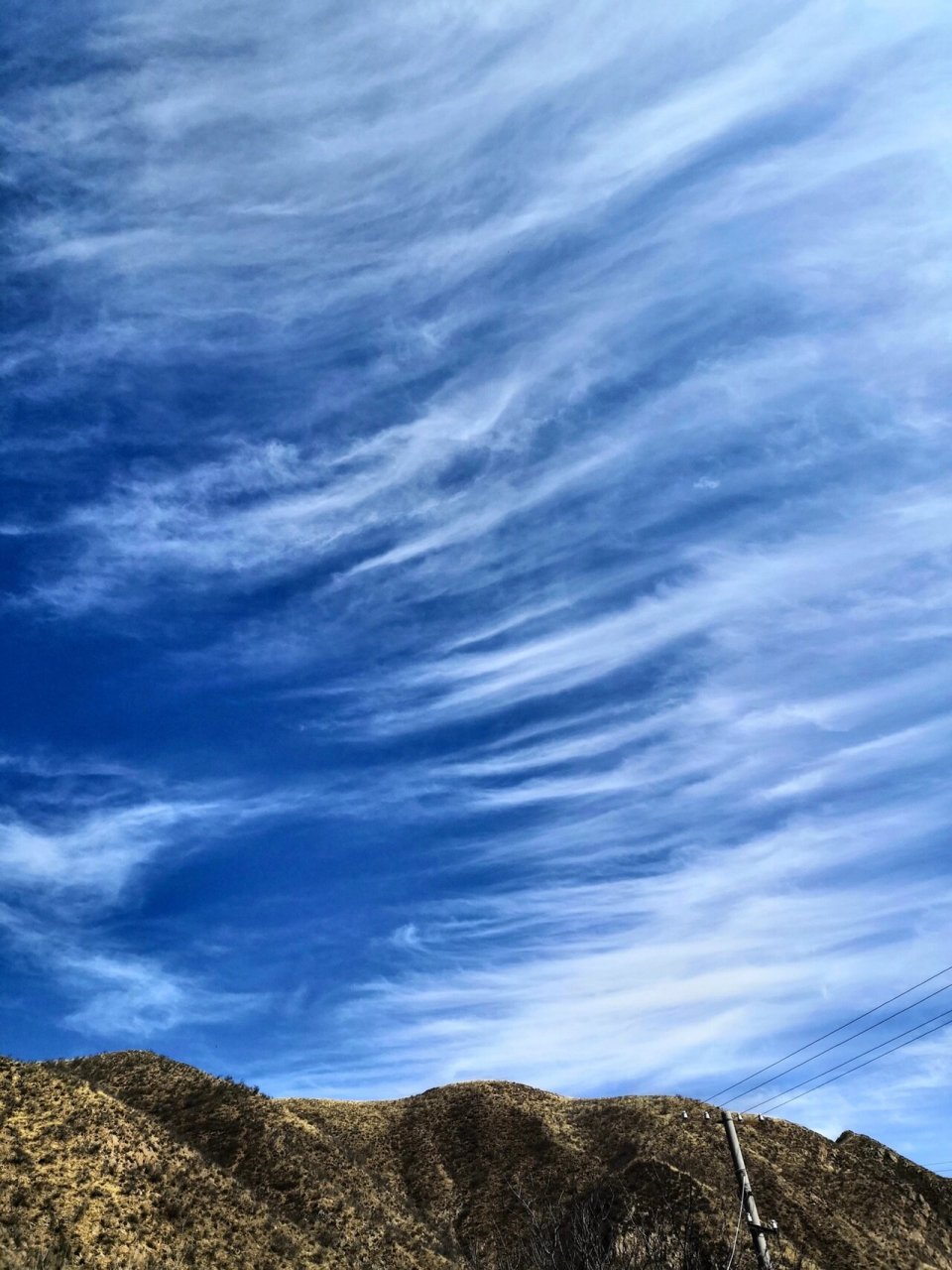 认识云|毛卷云(卷云) 毛卷云纤细且分散,云体很薄,具有纤维状结构,常