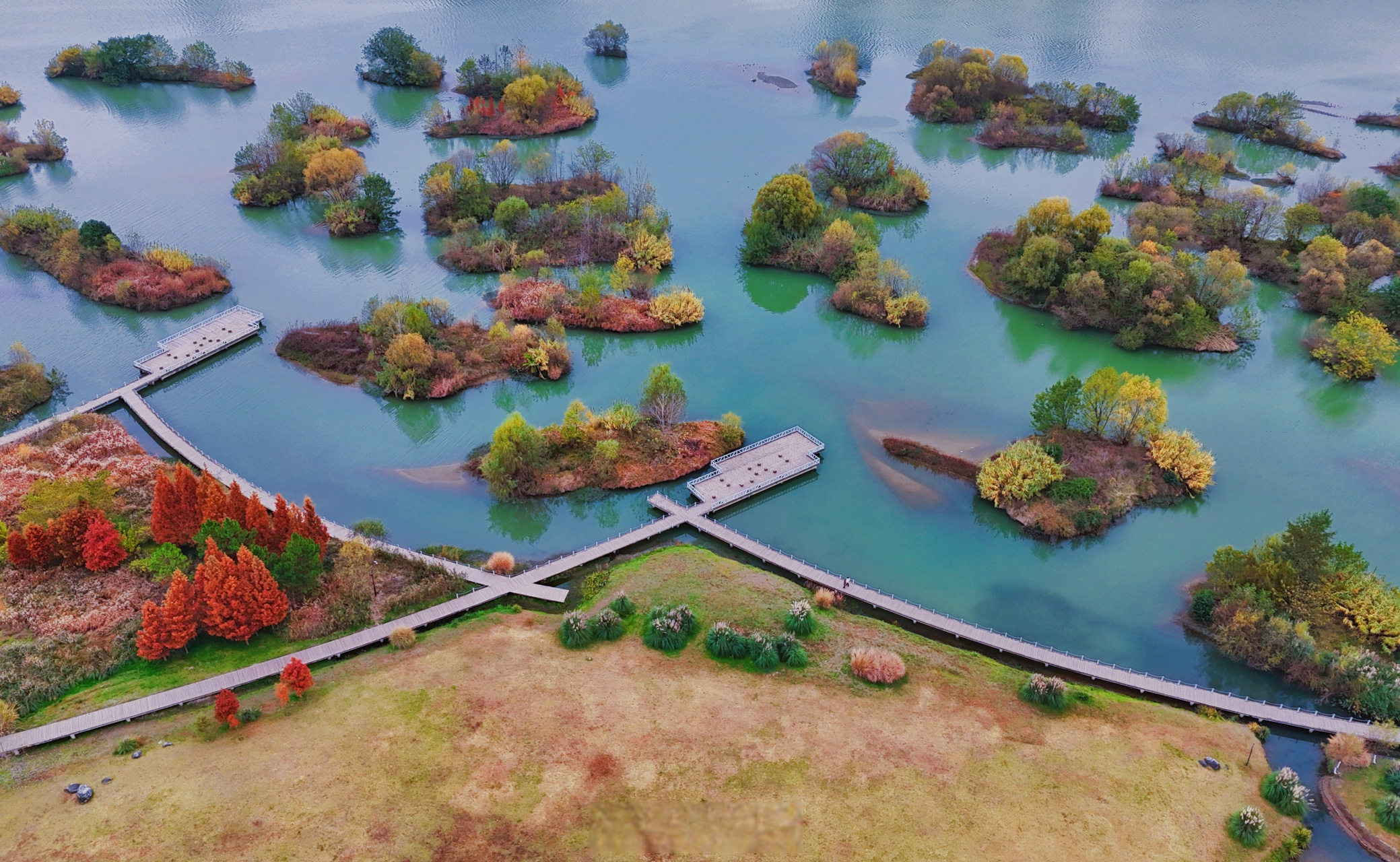 在陕西唱响时代赞歌# 天汉湿地公园:汉中绿水青山生态画卷的"城市