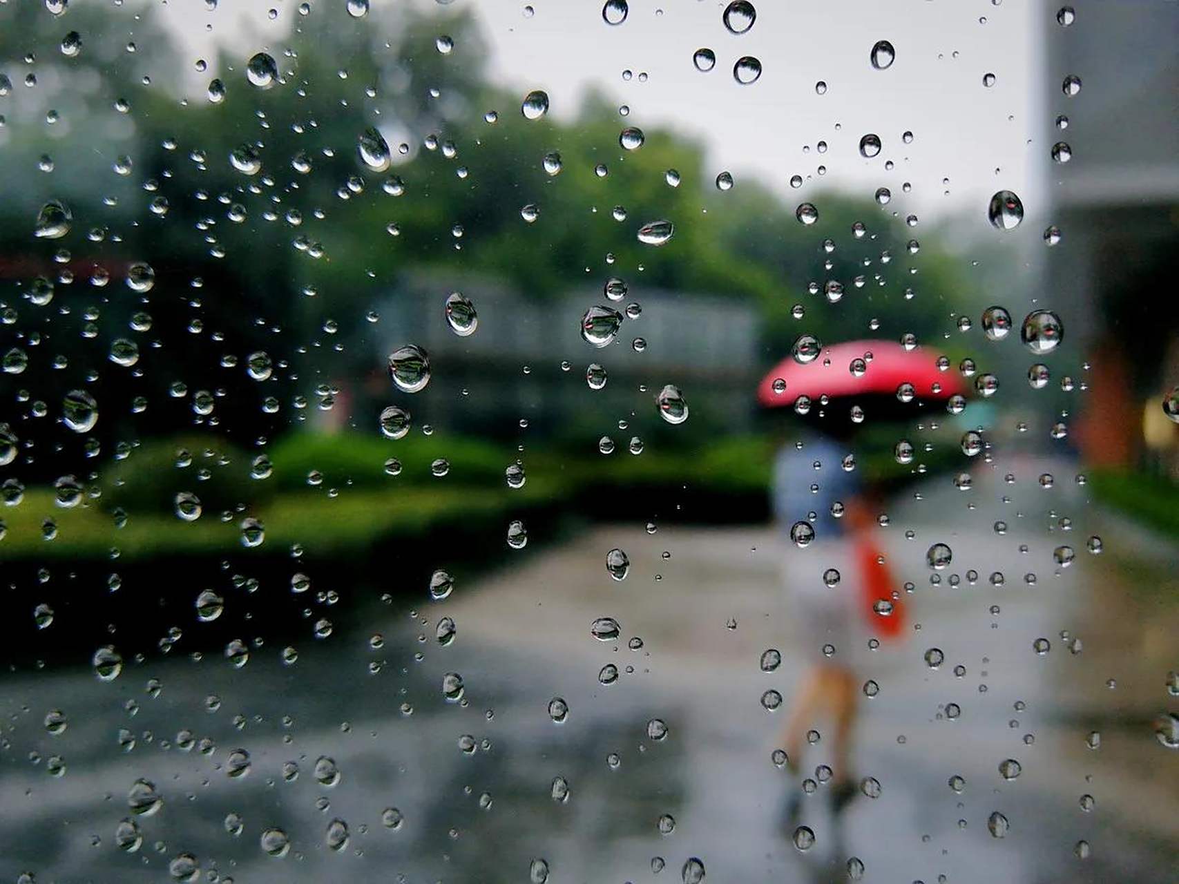 (雨中画) 雨一直下,窗外景色如画,有些人在画中奔行,有些人在画外牵挂