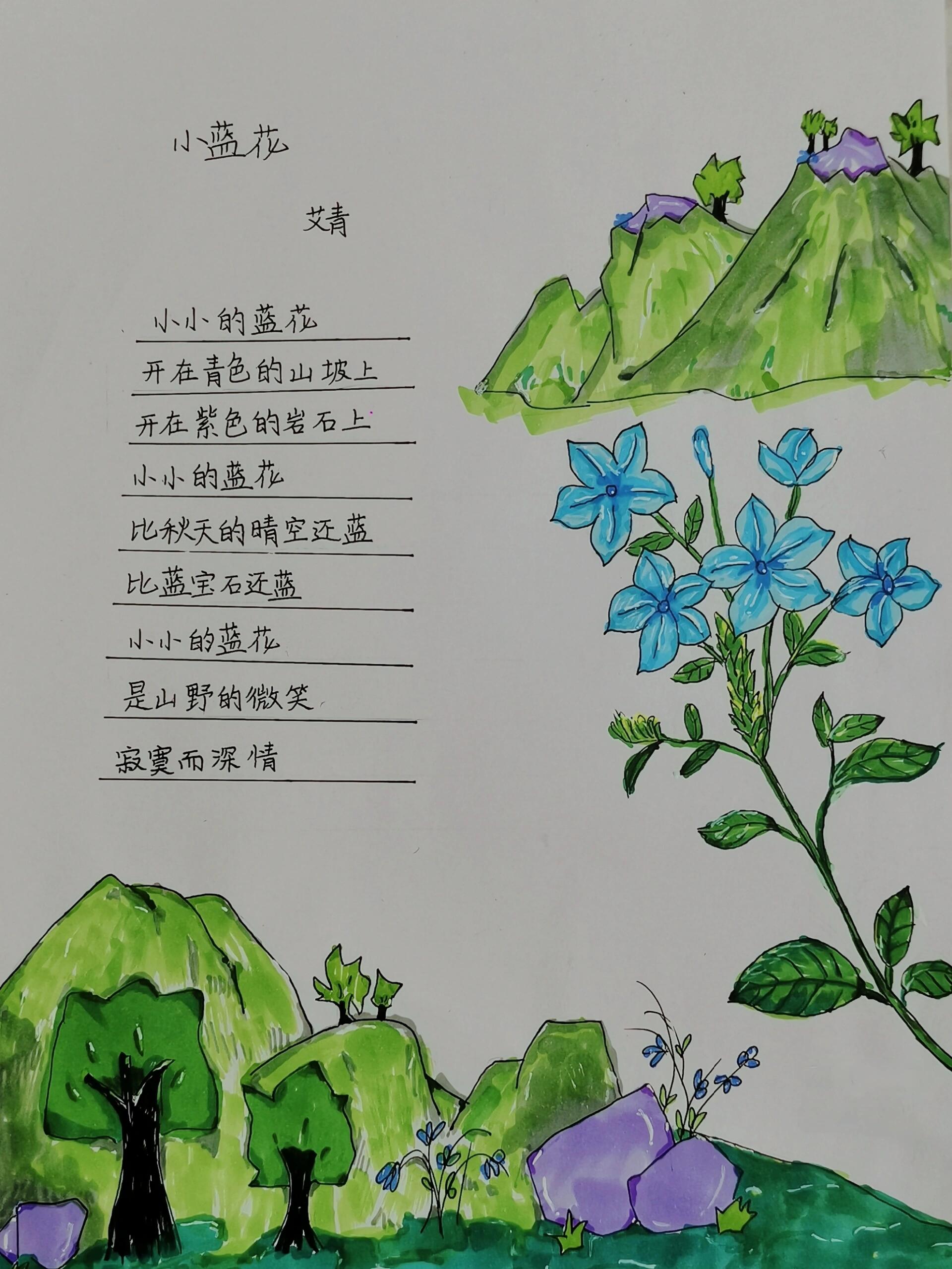《小蓝花》  艾青的小蓝花 画了很久画画都困😪@🌈妤蒽^熙月💒