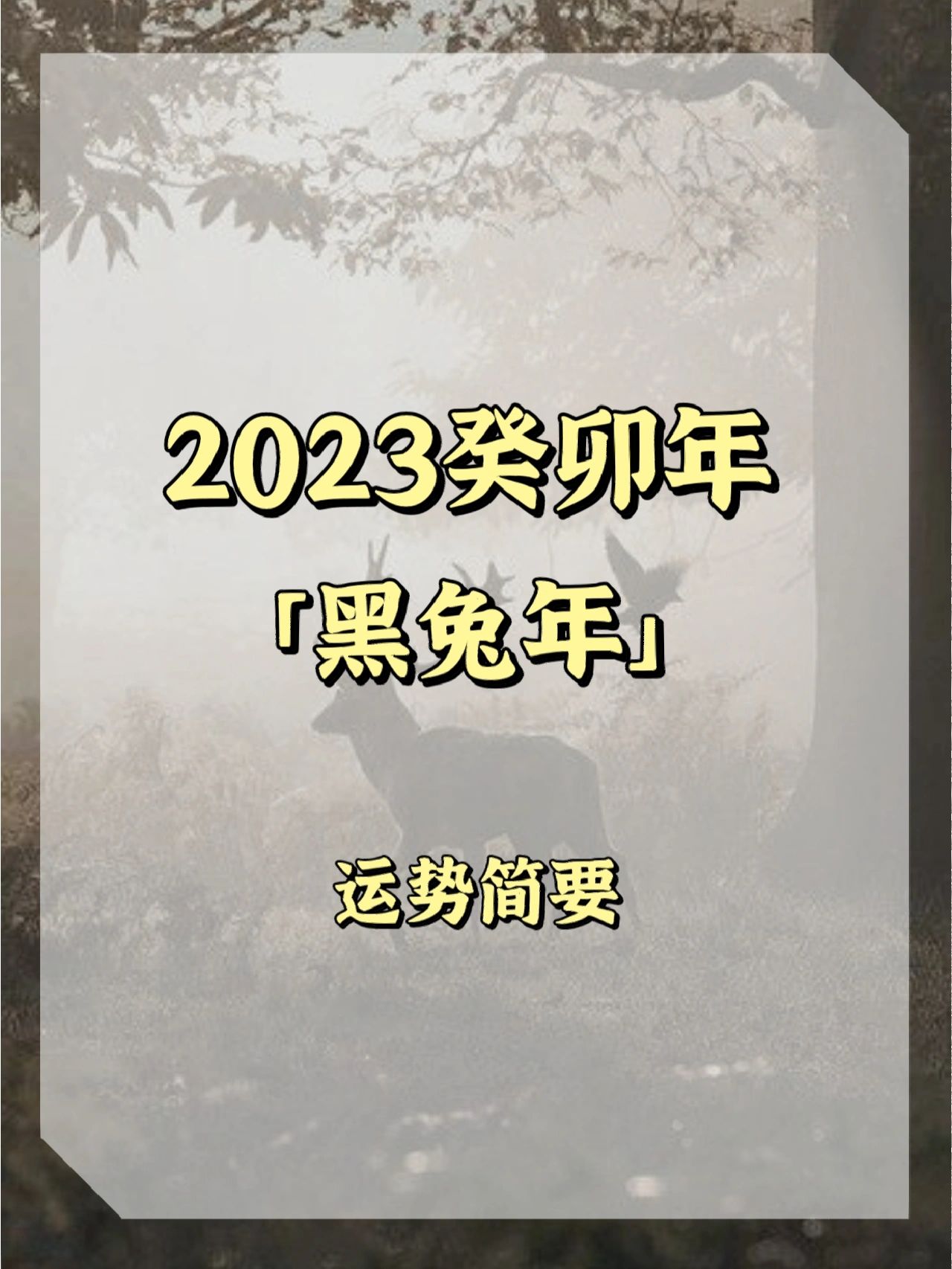 生肖兔癸卯年运势如何看(癸兔年人命运)
