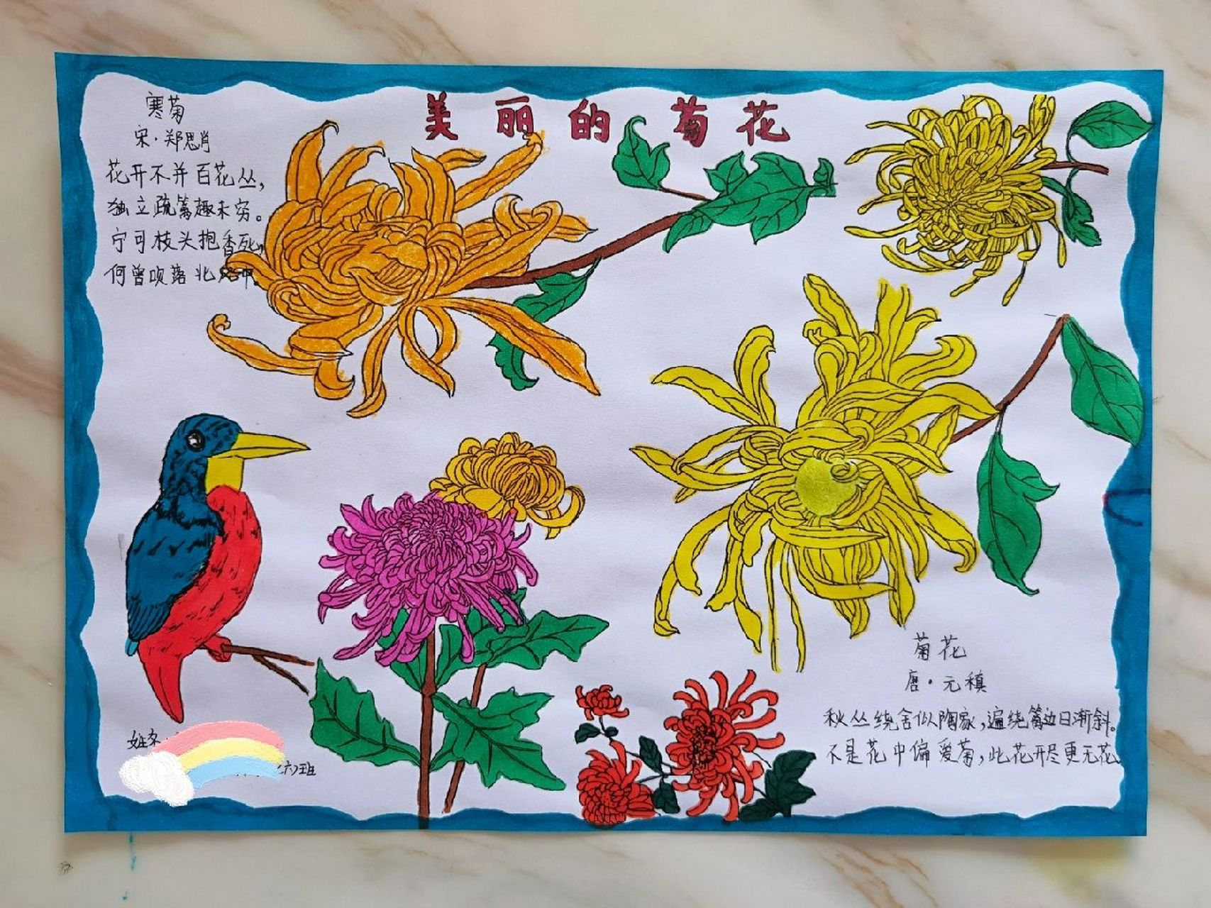 美丽的菊花手抄报小学生