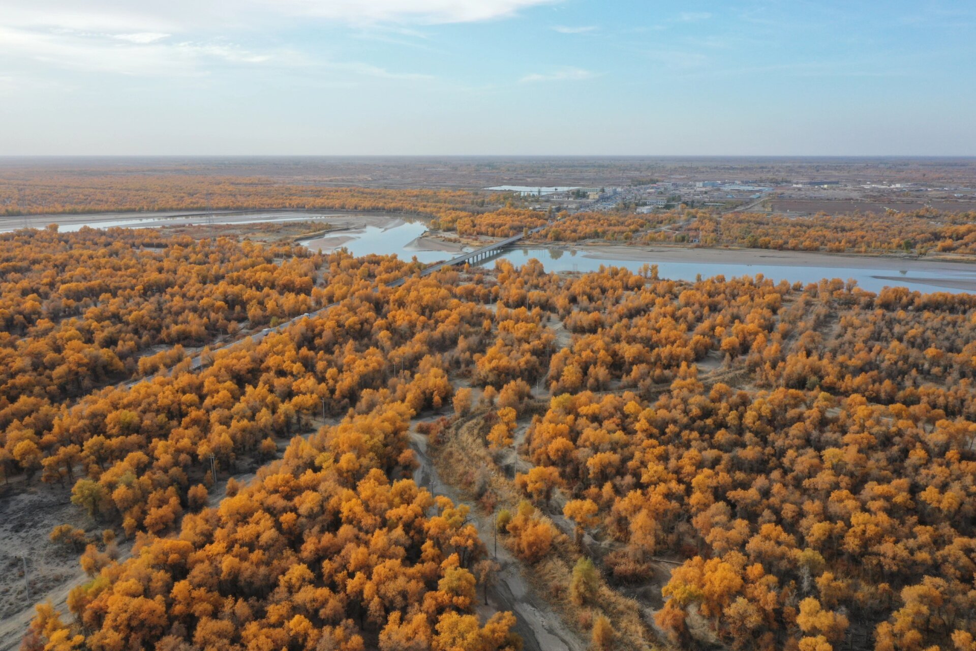 轮台胡杨林·塔里木国家胡杨林保护区 世界上最大而古老的胡杨林