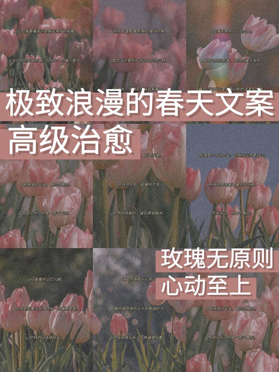 玫瑰无原则,心动至上 #惊艳到你的句子# #朋友圈文案# #情感文案