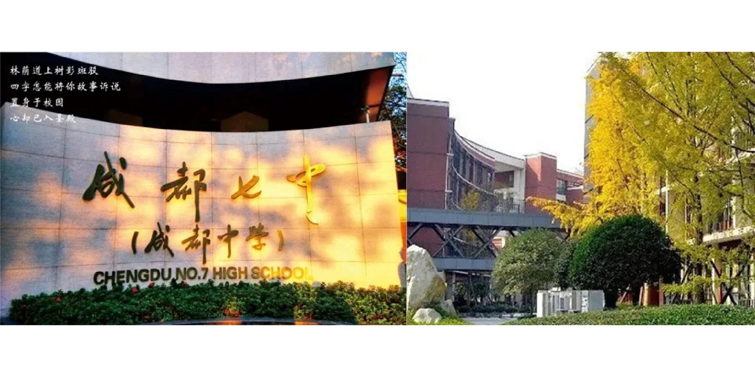 七中(林荫,高新) 省一级示范,公办成都七中(成都中学)是一所全国著名