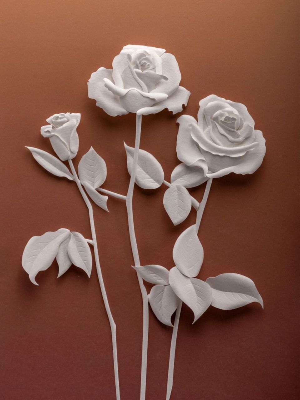 玫瑰与纸浮雕 纸浮雕的制作 其实并不难学习 准备好纸,剪刀,胶水,压痕
