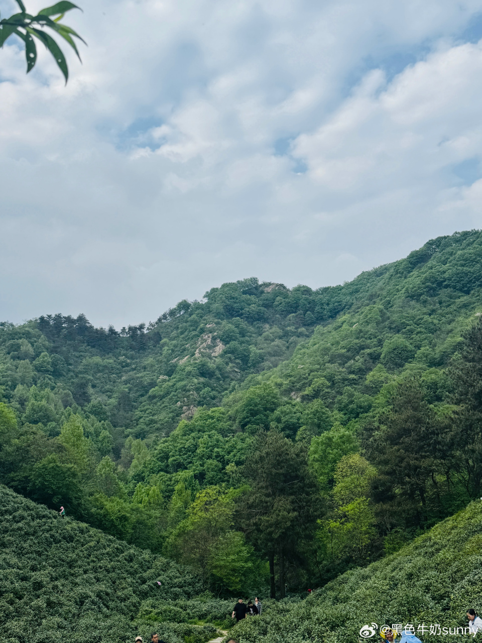 家乡是最美的信阳·震雷山风景区(平山塔)